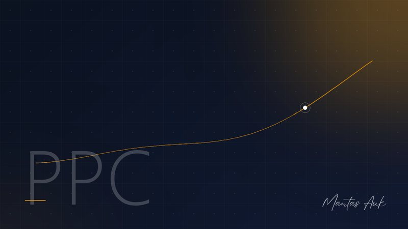 PPC Audit article cover: Why You Need a Manual PPC Audit Instead of an Automated Software Report
