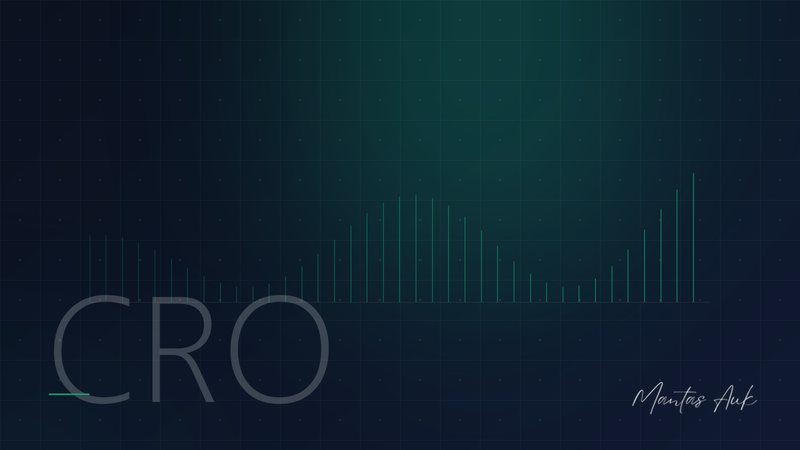 Paid Traffic CRO article cover: Why Static Homepages Don't Convert Paid Traffic (And What to Do Instead)
